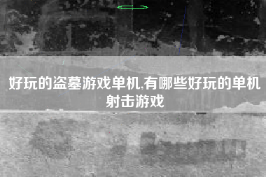 好玩的盗墓游戏单机,有哪些好玩的单机射击游戏