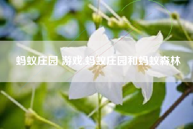 蚂蚁庄园 游戏,蚂蚁庄园和蚂蚁森林