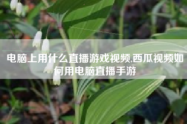 电脑上用什么直播游戏视频,西瓜视频如何用电脑直播手游