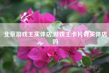 北京游戏王实体店,游戏王卡片有实体店吗