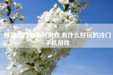 好玩冷门的系列游戏,有什么好玩的冷门手机游戏