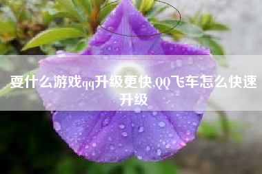 耍什么游戏qq升级更快,QQ飞车怎么快速升级