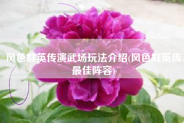 风色群英传演武场玩法介绍(风色群英传最佳阵容)