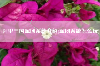 阿里三国军团系统介绍(军团系统怎么玩)