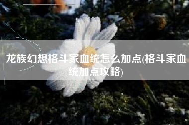 龙族幻想格斗家血统怎么加点(格斗家血统加点攻略)