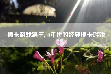插卡游戏踢王,80年代的经典插卡游戏