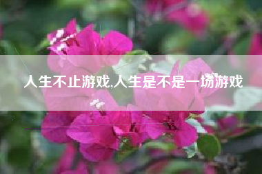 人生不止游戏,人生是不是一场游戏
