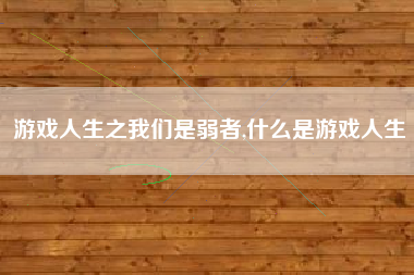 游戏人生之我们是弱者,什么是游戏人生