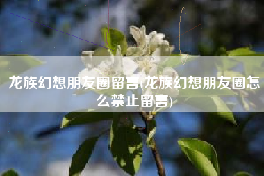 龙族幻想朋友圈留言(龙族幻想朋友圈怎么禁止留言)