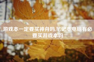 游戏本一定要买神舟吗,笔记本电脑有必要买游戏本吗