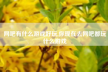 网吧有什么游戏好玩,你现在去网吧都玩什么游戏