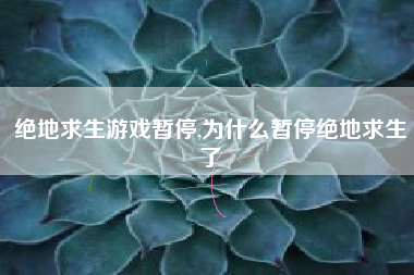 绝地求生游戏暂停,为什么暂停绝地求生了