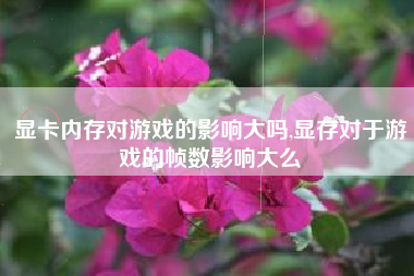 显卡内存对游戏的影响大吗,显存对于游戏的帧数影响大么