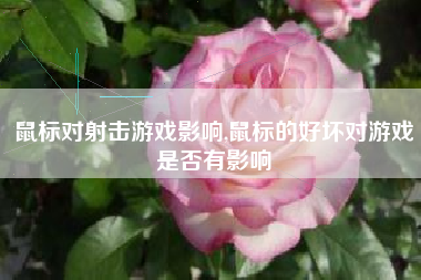 鼠标对射击游戏影响,鼠标的好坏对游戏是否有影响