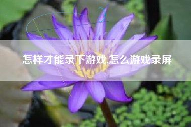 怎样才能录下游戏,怎么游戏录屏