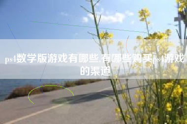 ps4数学版游戏有哪些,有哪些购买ps4游戏的渠道