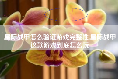 星际战甲怎么验证游戏完整性,星际战甲这款游戏到底怎么玩