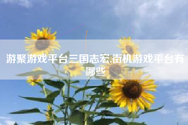 游聚游戏平台三国志宏,街机游戏平台有哪些