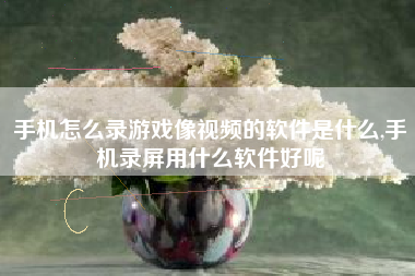 手机怎么录游戏像视频的软件是什么,手机录屏用什么软件好呢