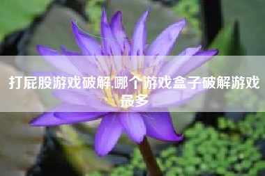 打屁股游戏破解,哪个游戏盒子破解游戏最多