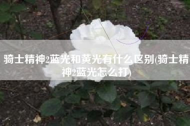 骑士精神2蓝光和黄光有什么区别(骑士精神2蓝光怎么打)