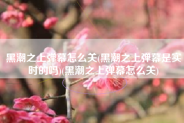黑潮之上弹幕怎么关(黑潮之上弹幕是实时的吗)(黑潮之上弹幕怎么关)