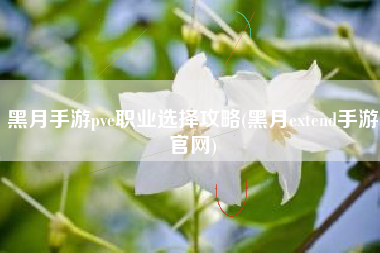黑月手游pve职业选择攻略(黑月extend手游官网)