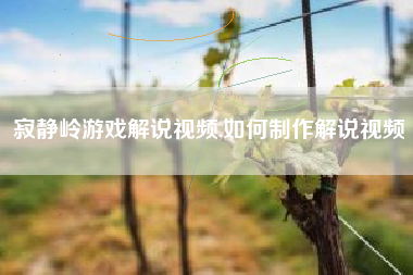寂静岭游戏解说视频,如何制作解说视频