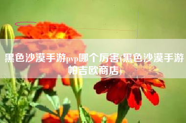 黑色沙漠手游pvp哪个厉害(黑色沙漠手游帕吉欧商店)