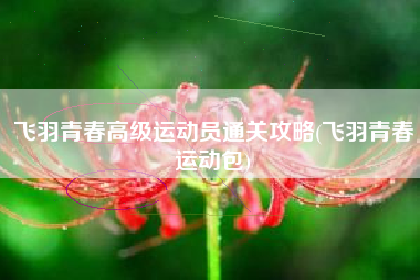 飞羽青春高级运动员通关攻略(飞羽青春运动包)