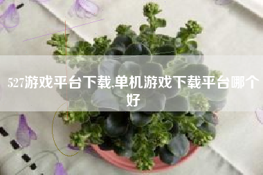 527游戏平台下载,单机游戏下载平台哪个好