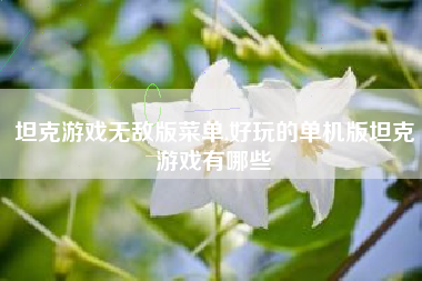 坦克游戏无敌版菜单,好玩的单机版坦克游戏有哪些