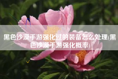 黑色沙漠手游强化过的装备怎么处理(黑色沙漠手游强化概率)