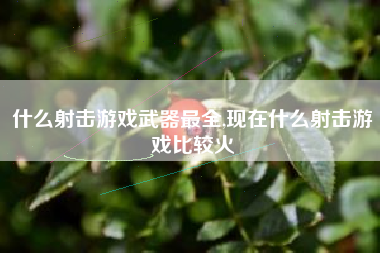 什么射击游戏武器最全,现在什么射击游戏比较火