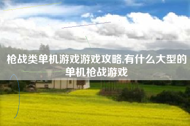 枪战类单机游戏游戏攻略,有什么大型的单机枪战游戏