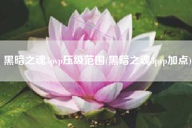 黑暗之魂3pvp压级范围(黑暗之魂3pvp加点)