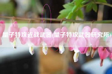 量子特攻近战武器(量子特攻武器研究所)