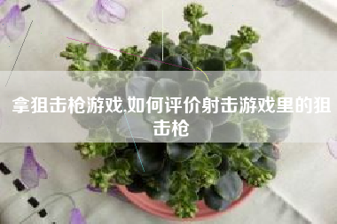 拿狙击枪游戏,如何评价射击游戏里的狙击枪