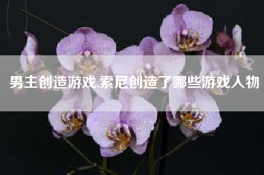 男主创造游戏,索尼创造了哪些游戏人物