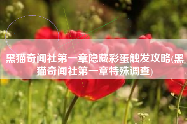 黑猫奇闻社第一章隐藏彩蛋触发攻略(黑猫奇闻社第一章特殊调查)