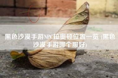 黑色沙漠手游NPC拉奥顿位置一览 (黑色沙漠手游哪个服好)