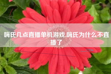 嗨氏几点直播单机游戏,嗨氏为什么不直播了