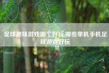足球趣味游戏哪个好玩,哪些单机手机足球游戏好玩