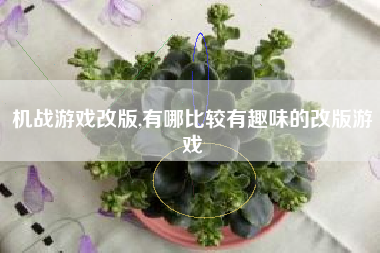 机战游戏改版,有哪比较有趣味的改版游戏