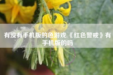 有没有手机版的色游戏,《红色警戒》有手机版的吗