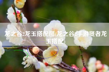 龙之谷2龙玉搭配图(龙之谷2手游贤者龙玉搭配)