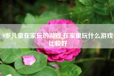 9岁儿童在家玩的游戏,在家里玩什么游戏比较好