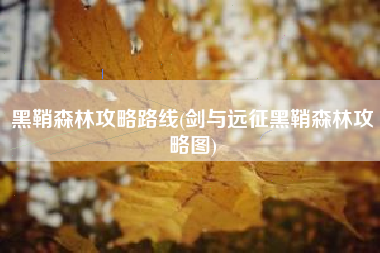 黑鞘森林攻略路线(剑与远征黑鞘森林攻略图)