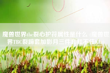 魔兽世界tbc裂心护符属性是什么 (魔兽世界TBC裂蹄套加影月三件套扛不住KLz)