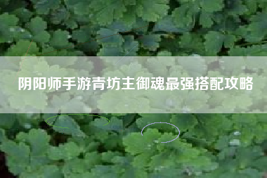 阴阳师手游青坊主御魂最强搭配攻略